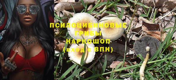 ALPHA PVP Алексин