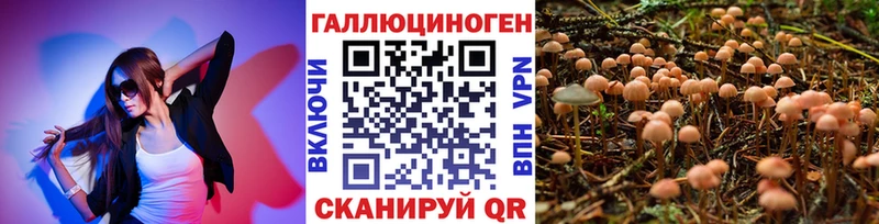 OMG зеркало  закладки  Южно-Сахалинск  Псилоцибиновые грибы мухоморы 
