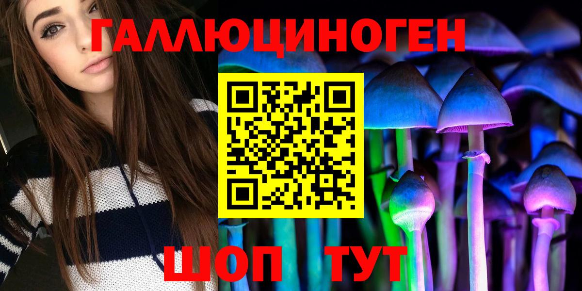 закладка  Вход с VPN  Южно-Сахалинск  Галлюциногенные грибы Psilocybine cubensis 
